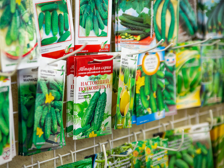 Подозрительные семена свеклы, огурцов и моркови продавались в Карелии