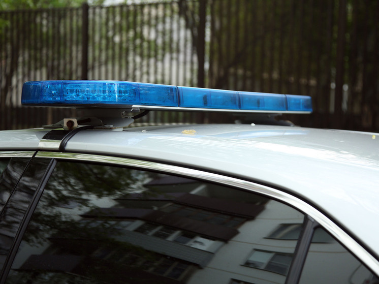 Выяснились детали драки в подмосковном Щелково, в котором мигранты избили полицейского