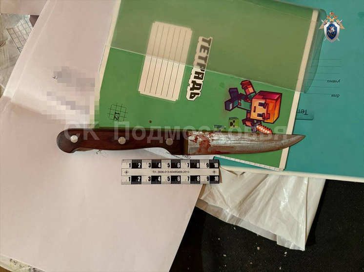 Выяснились детали резни в Высоковске: убил мать со второй попытки