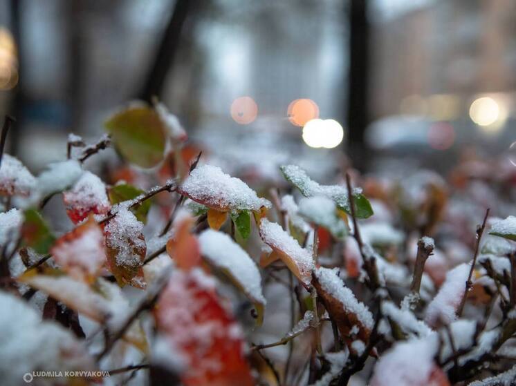 Ночью 25 сентября Карелию ждут заморозки