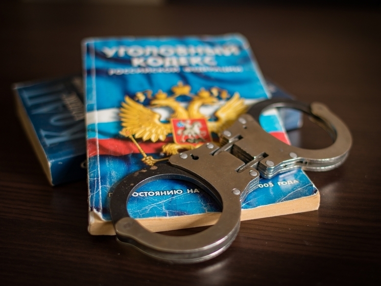 Ранее судимая жительница Петрозаводска повторно ограбила торговый центр