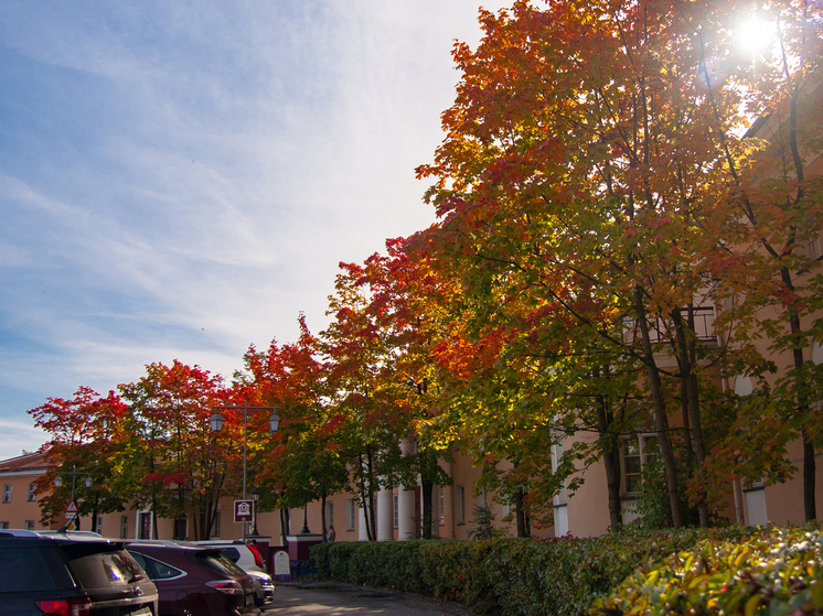 В начале рабочей недели в Карелии ожидается теплая погода