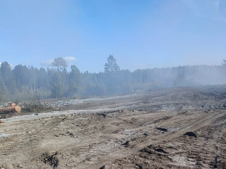 На мусорной свалке под Кондопогой ликвидирован пожар