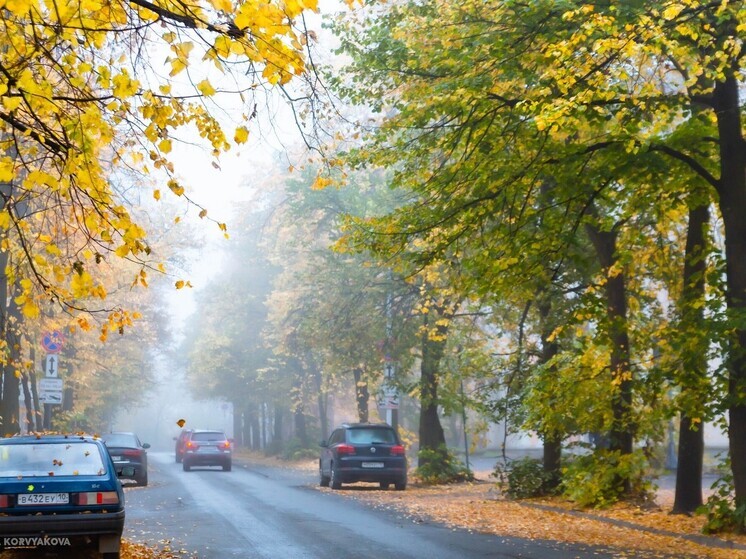 В Карелии продлен режим «черного неба»