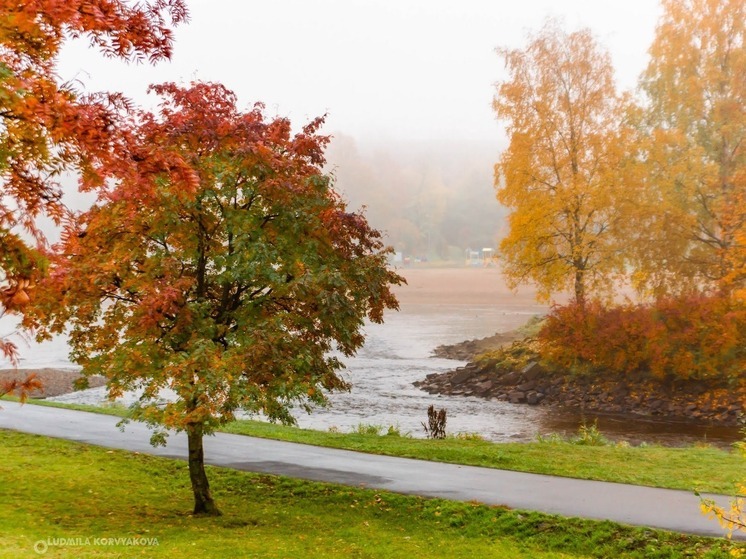 В Карелии ожидается теплая погода 11 сентября