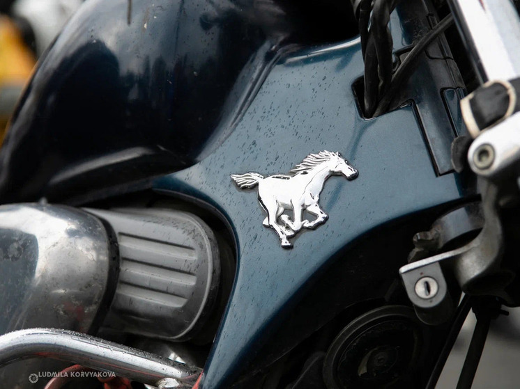 В Карелии мотолюбители официально завершили мотоциклетный сезон