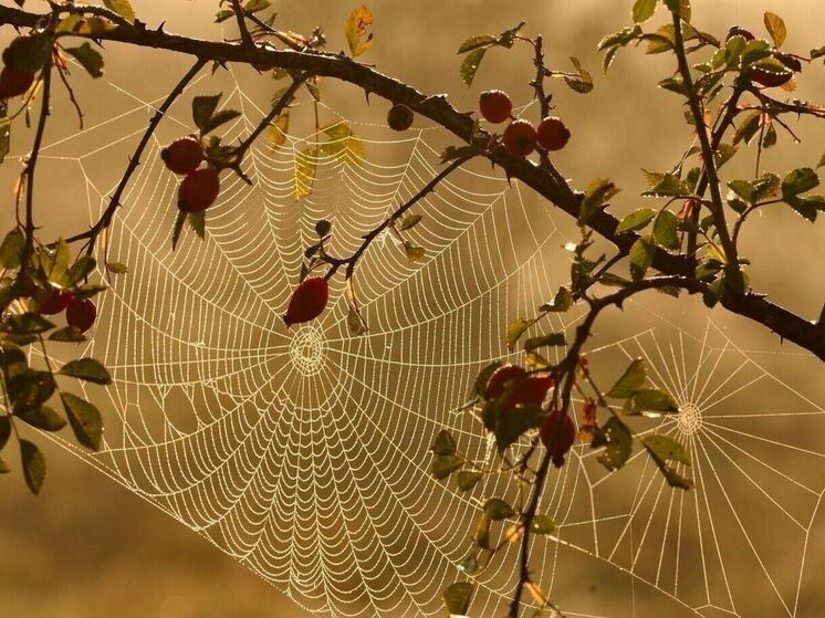 Россиянам рекомендуют насладиться периодом «бабьего лета» в Карелии