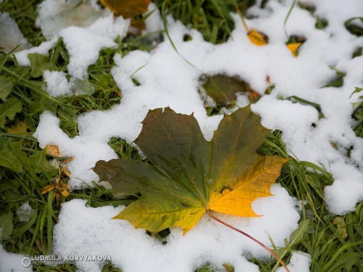 Дождь со снегом придет в Карелию 24 сентября