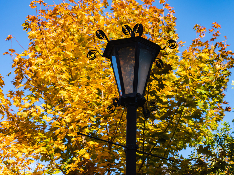 Сентябрь-октябрь россияне планируют провести в Карелии