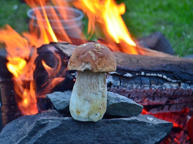 В Карелии сотрудники МЧС обращаются к любителям сбора грибов с просьбой быть предельно осторожными с огнем в лесах, чтобы избежать возникновения пожаров