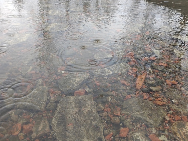 Прохладно и дождливо будет в Карелии 16 сентября