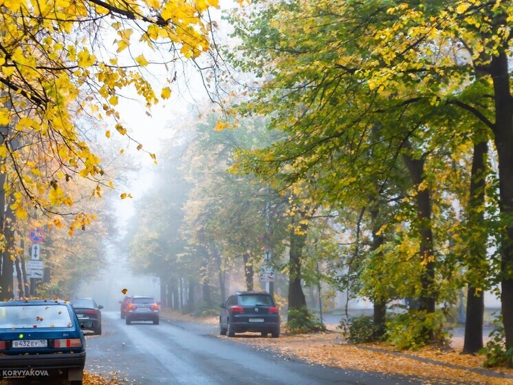 10 сентября Карелию окутает радиационный туман