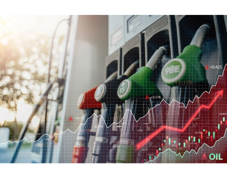 В Карелии подешевели яйца, но подорожал бензин