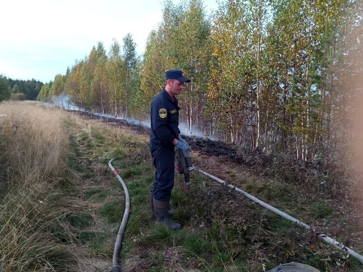 Пожар на торфянике в Карелии удалось локализовать