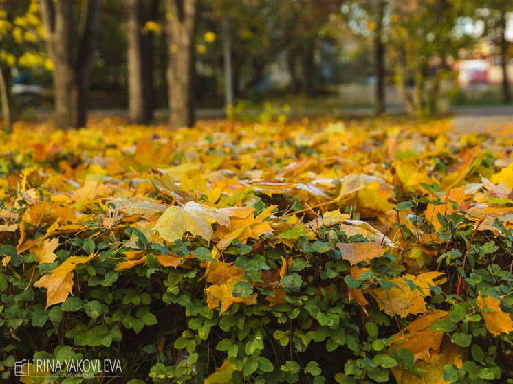 10 сентября в Карелии ожидается потепление до +25°С