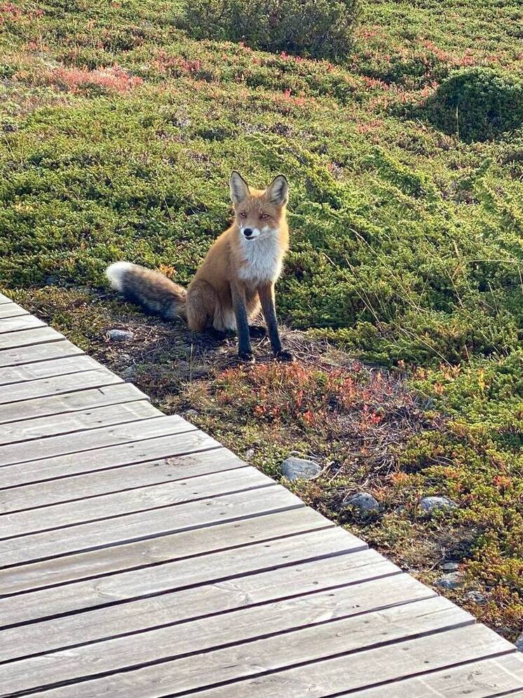 Навигация на Белом море закрывается 15 октября