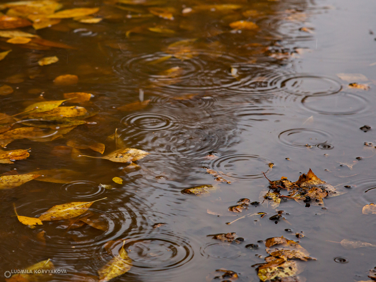 Шторм с дождем и сильным ветром ожидает Карелию