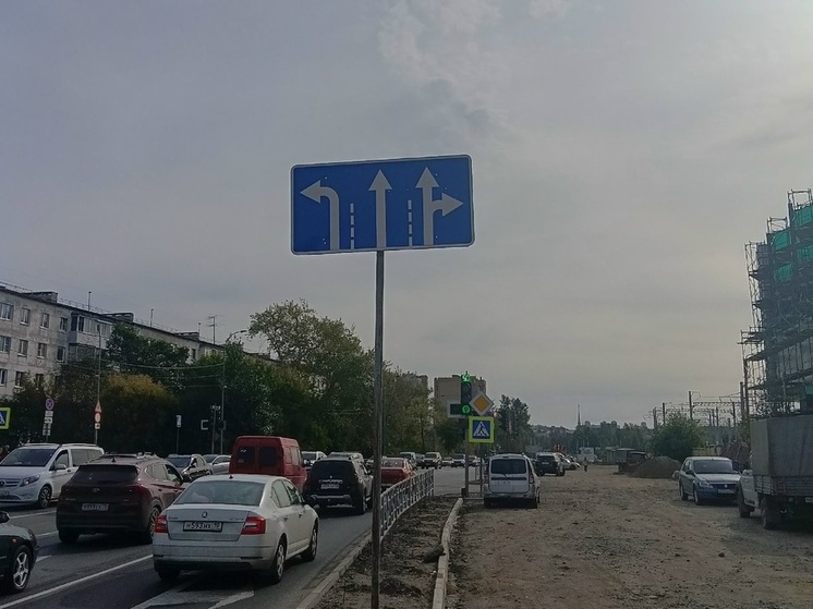 Общественность Петрозаводска пожаловалась на странный дорожный знак