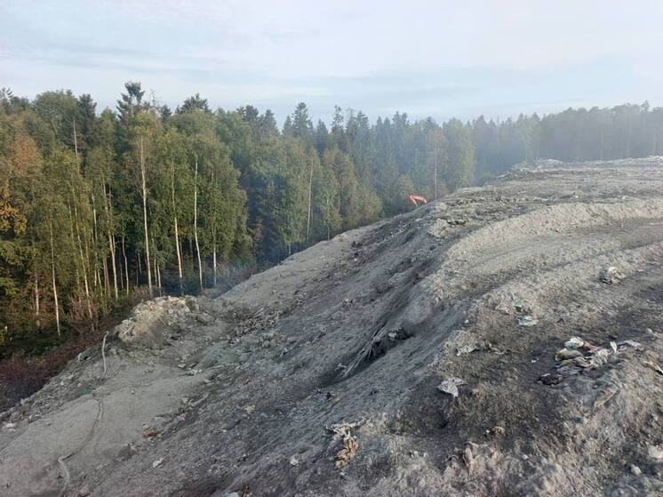 Пожар на свалке под Кондопогой продолжается почти полтора месяца
