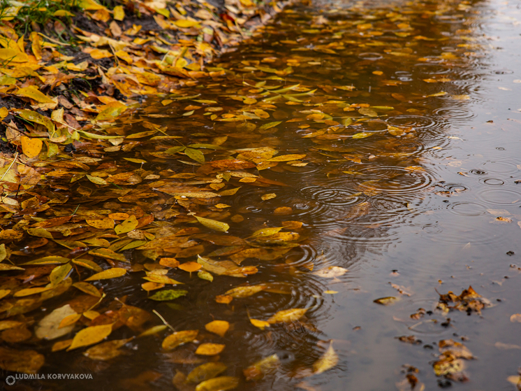 Осенняя погода вернется в Карелию 18 сентября