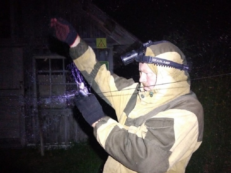 Учёные провели подсчет популяции летучих мышей в национальном парке Карелии