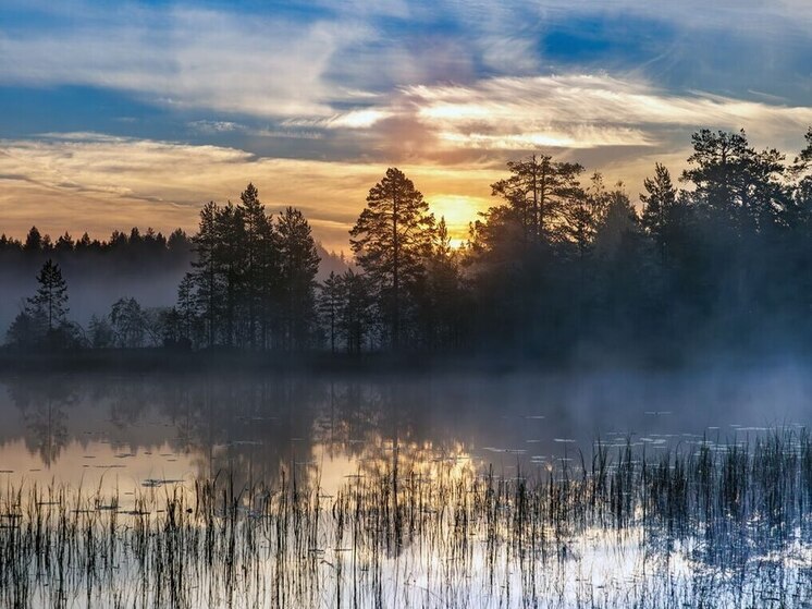 Синоптики рассказали о погоде на это воскресенье