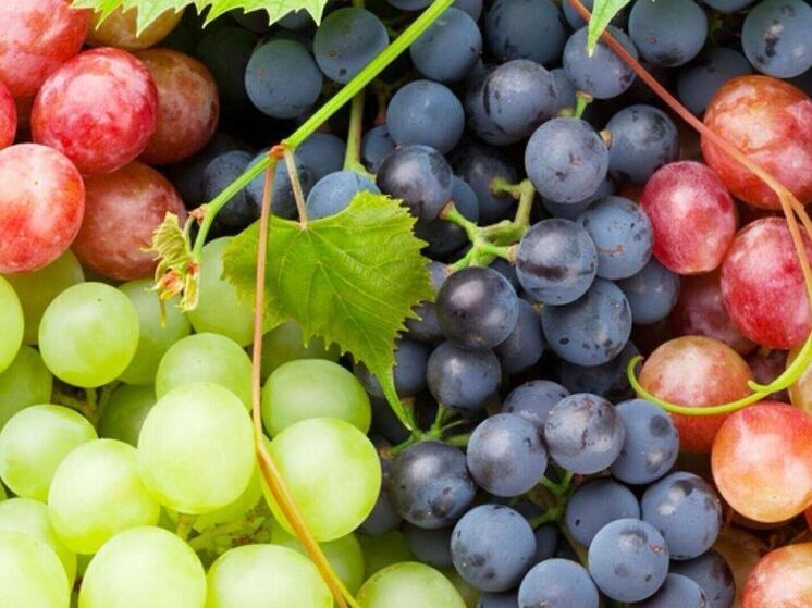 Гастроэнтеролог из Петрозаводска рассказал, как виноград снижает уровень плохого холестерина