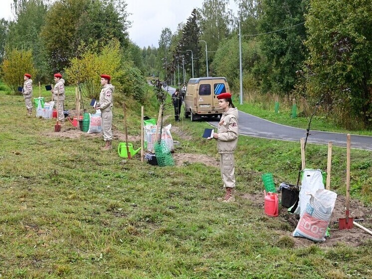 В Петрозаводске высадили деревья в память о погибших на СВО