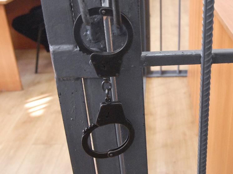 Педофила, показавшего свои половые органы девочкам, посадили на 15,5 лет