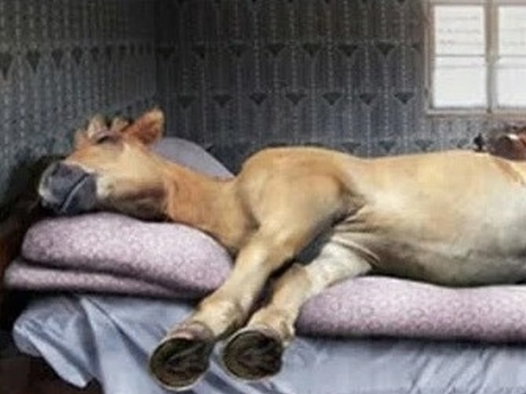 Трехдневные выходные ждут жителей Карелии в начале ноября