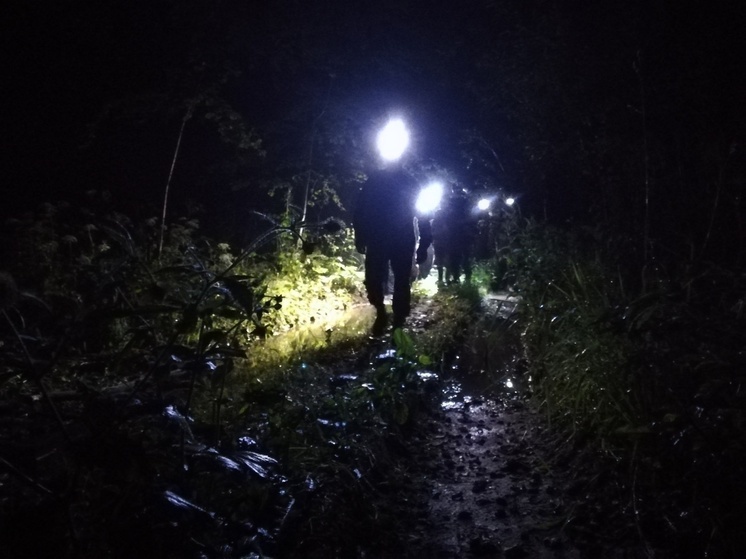 Почти неделю продолжаются поиски пенсионерки, ушедшей из карельского пансионата