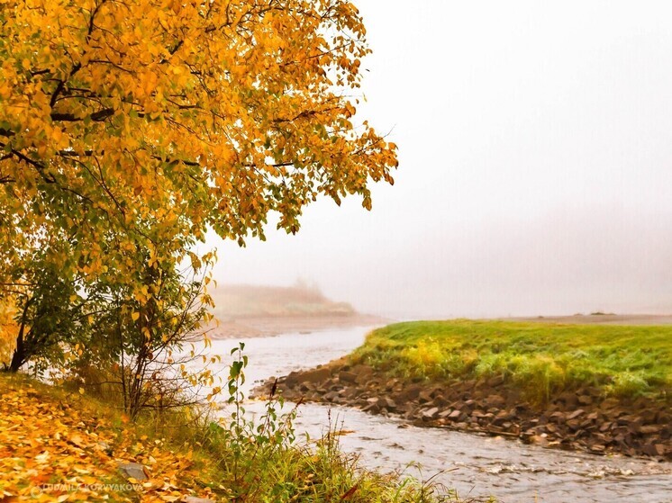 Прогноз погоды в Карелии 9 сентября: тепло и временами дождь