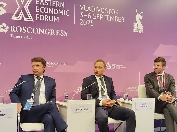 Зампред Сбера предложил на ВЭФ создать отдельный закон о венчурных инвестициях