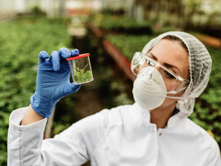 Петрозаводский аллерголог рассказал о способах профилактики аллергии у детей