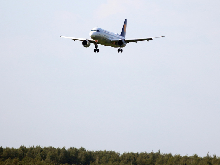 Установлена личность пилота, разбившегося в Подмосковье