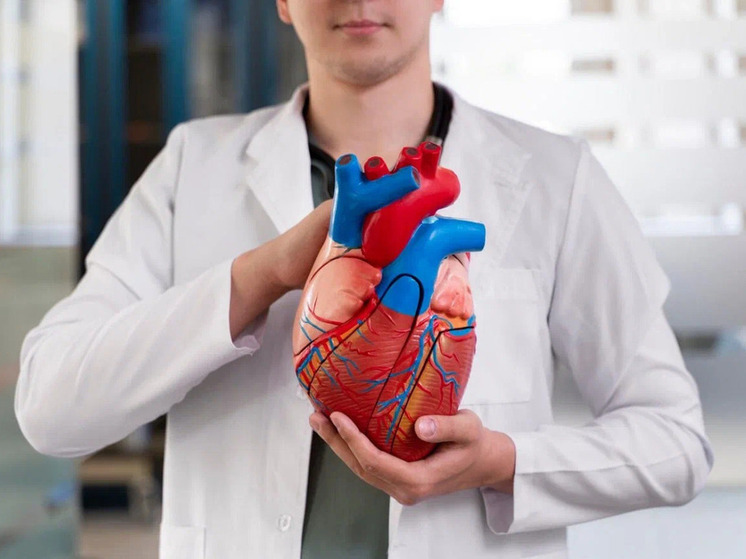 Жителям Карелии указали на признаки, говорящие о чрезмерной нагрузке на сердечно-сосудистую систему