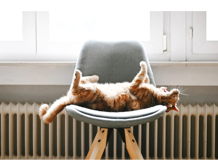 В Петрозаводске скоро начнут топить