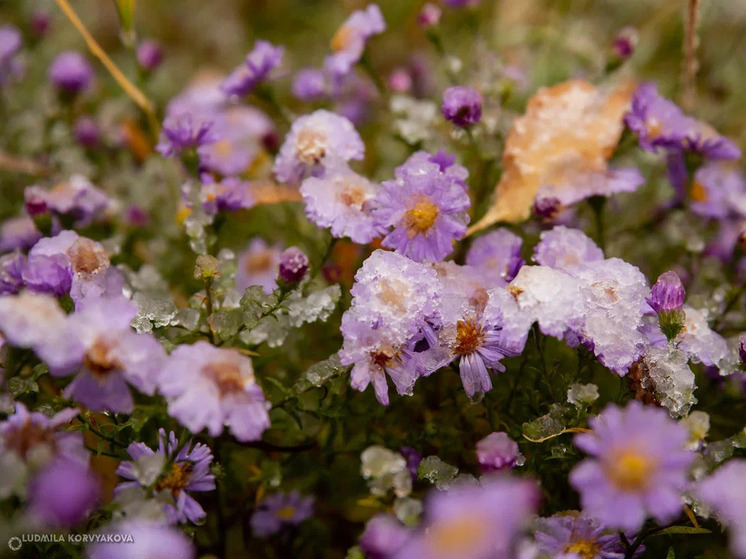 Бабье лето все: на севере Карелии завтра ожидается снег