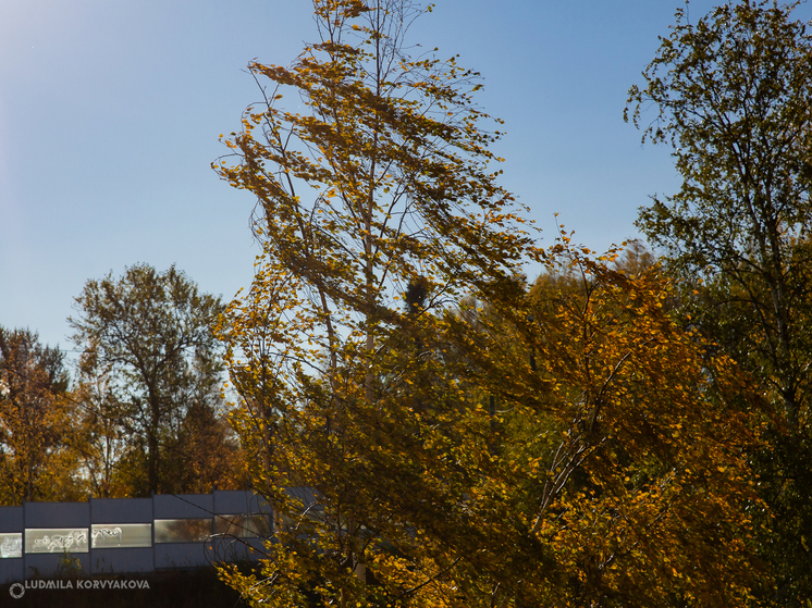 17 сентября в Карелии ожидается дождливая погода с порывистым ветром