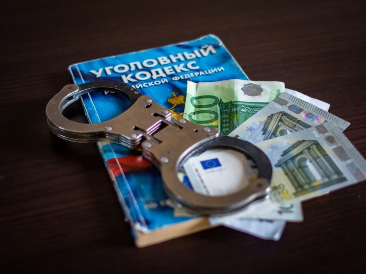 Житель Санкт-Петербурга попытался подкупить начальника районной полиции в Карелии