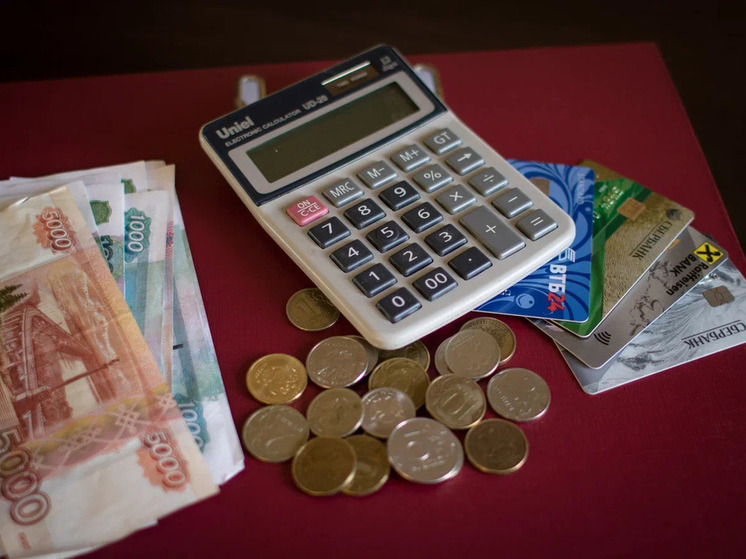 В Госдуме напомнили, какие налоги должны уплатить в октябре граждане и юрлица