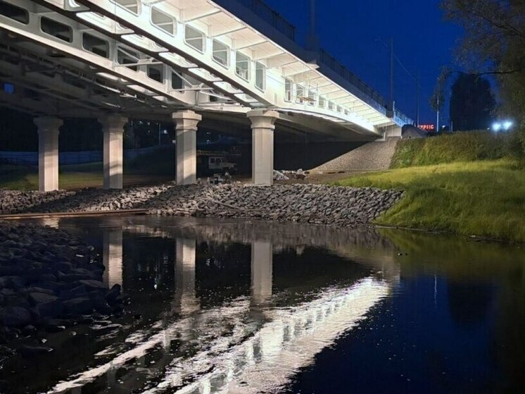 Пробные включения архитектурной подсветки идут на Лобановском мосту