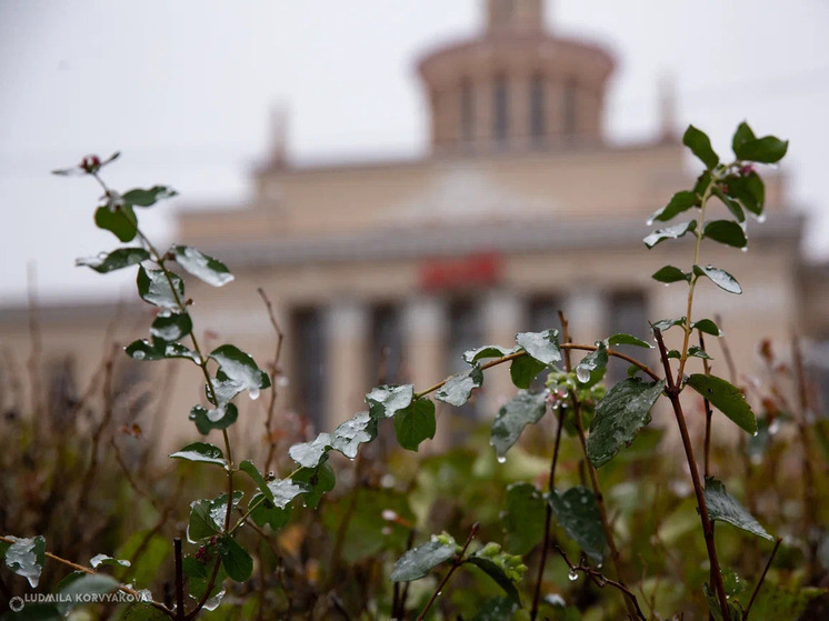 В Карелии ожидаются первые признаки зимы – заморозки и снегопад