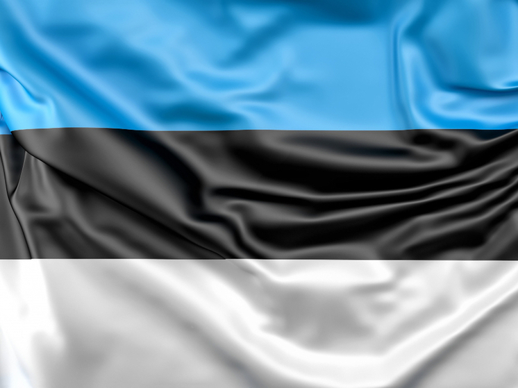 НАТО планирует провести заседание по инциденту с российскими истребителями, летевшими из Карелии