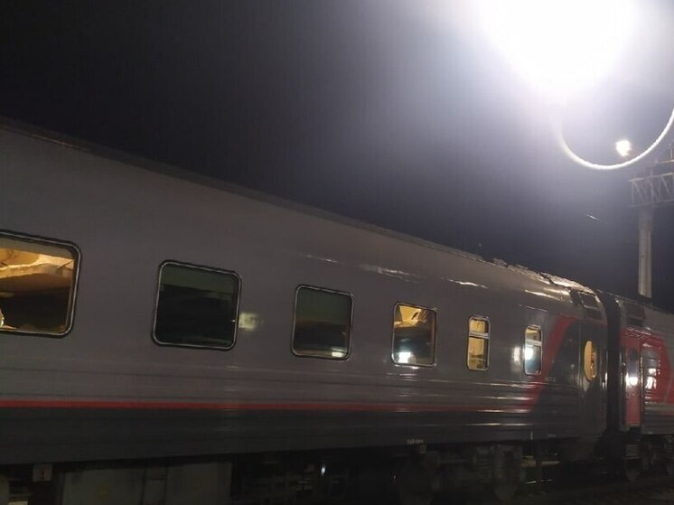 Поезд задерживается в Карелии из-за упавшего дерева