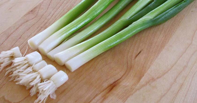Как вырастить зеленый лук
