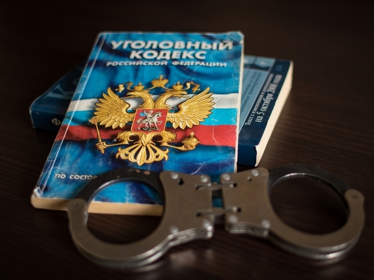 Жителю Петрозаводска грозит до 4 лет тюрьмы за кражу водки из магазина