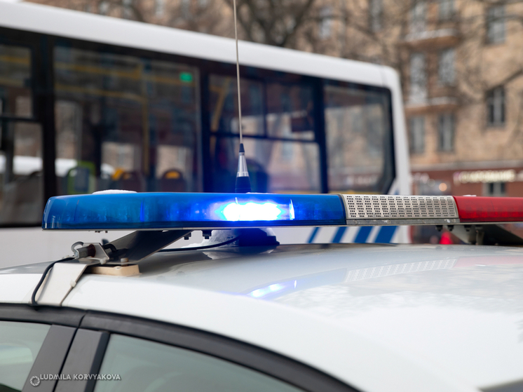 За текущий год в Карелии в ДТП погибли восемь пешеходов