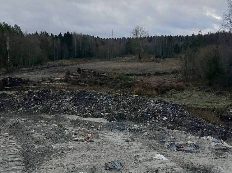 Пожар на свалке возле Кондопоги ликвидирован через три месяца