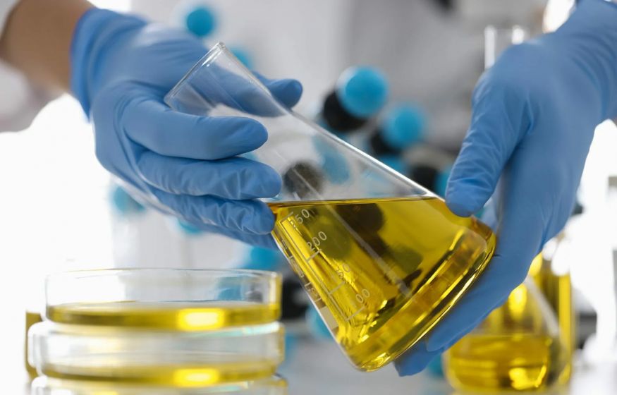 Подсолнечный яд в «оливковых бутылках»: Роскачество раскрыло масштабную подмену масел